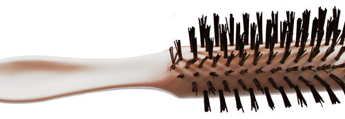 Adult Hair Brush with Bristles Individually Bagged