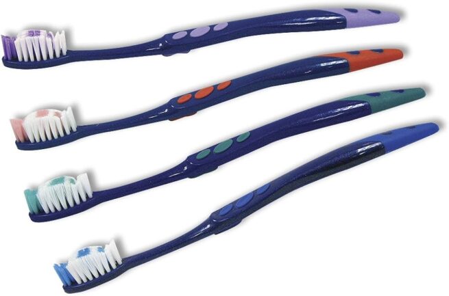 Dr. Fresh Disposable Toothbrush Pre Pasted