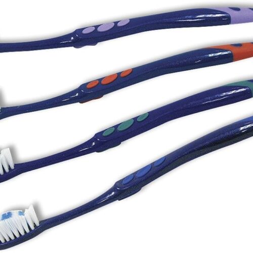 Dr. Fresh Disposable Toothbrush Pre Pasted